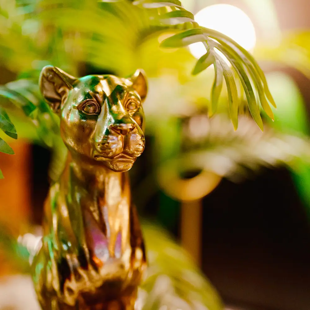 decoracion-bioko